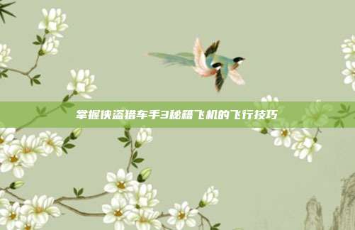 掌握侠盗猎车手3秘籍飞机的飞行技巧-第1张图片-速奇网