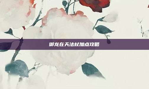 御龙在天法杖加点攻略-第1张图片-速奇网