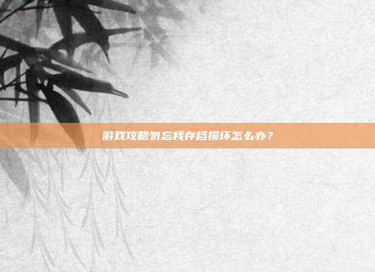 游戏攻略勿忘我存档损坏怎么办？-第1张图片-速奇网