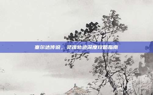 塞尔达传说，灵魂轨迹深度攻略指南-第1张图片-速奇网