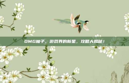 OMG柚子，游戏界的新星，攻略大揭秘！-第1张图片-速奇网