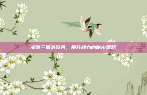 胡莱三国洗髓丹，提升战力的秘密武器-第1张图片-速奇网