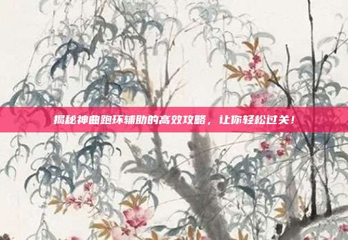 揭秘神曲跑环辅助的高效攻略，让你轻松过关！-第1张图片-速奇网