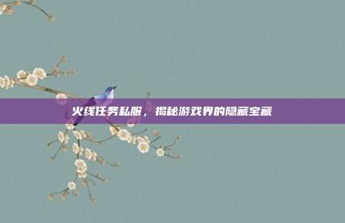 火线任务私服，揭秘游戏界的隐藏宝藏-第1张图片-速奇网