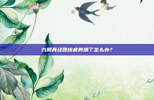 九阴真经团练疲劳满了怎么办？-第1张图片-速奇网