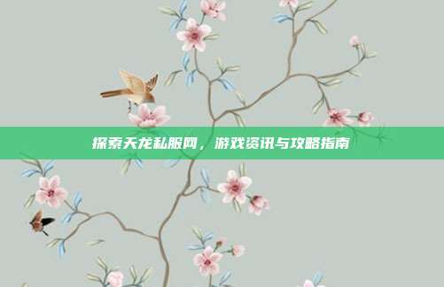 探索天龙私服网，游戏资讯与攻略指南-第1张图片-速奇网