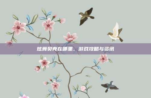 炫舞贝壳在哪里，游戏攻略与资讯-第1张图片-速奇网