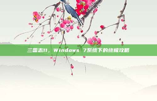 三国志11，Windows 7系统下的终极攻略-第1张图片-速奇网