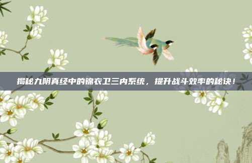 揭秘九阴真经中的锦衣卫三内系统，提升战斗效率的秘诀！-第1张图片-速奇网