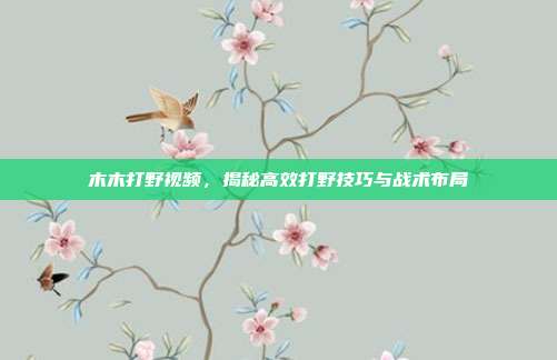 木木打野视频，揭秘高效打野技巧与战术布局-第1张图片-速奇网
