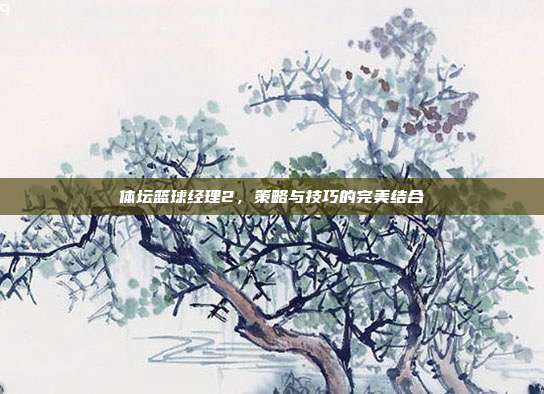 体坛篮球经理2，策略与技巧的完美结合-第1张图片-速奇网