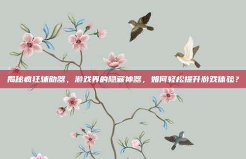 揭秘疯狂辅助器，游戏界的隐藏神器，如何轻松提升游戏体验？-第1张图片-速奇网