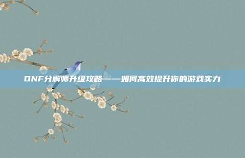 DNF分解师升级攻略——如何高效提升你的游戏实力-第1张图片-速奇网