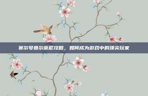 赛尔号鲁尔蒂尼攻略,如何成为游戏中的顶尖玩家-第1张图片-速奇网 赛尔号鲁尔蒂尼攻略,如何成为游戏中的顶尖玩家-第1张图片-速奇网