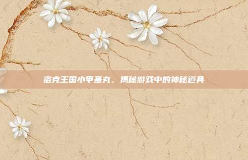 洛克王国小甲基丸，揭秘游戏中的神秘道具-第1张图片-速奇网