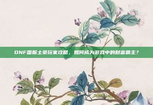 DNF国服土豪玩家攻略，如何成为游戏中的财富霸主？-第1张图片-速奇网