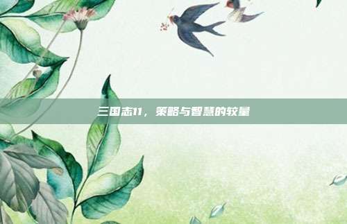 三国志11,策略与智慧的较量-第1张图片-速奇网 三国志11,策略与智慧的较量-第1张图片-速奇网