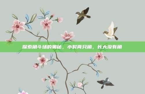 探索角斗场的奥秘,小时两只角,长大没有角-第1张图片-速奇网 探索角斗场的奥秘,小时两只角,长大没有角-第1张图片-速奇网