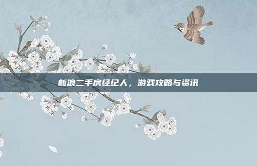 新浪二手房经纪人,游戏攻略与资讯-第1张图片-速奇网 新浪二手房经纪人,游戏攻略与资讯-第1张图片-速奇网