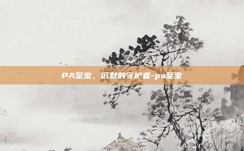 PA至宝，沉默的守护者-pa至宝-第1张图片-速奇网