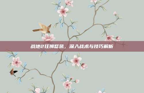 战地2狂狮怒吼,深入战术与技巧解析-第1张图片-速奇网 战地2狂狮怒吼,深入战术与技巧解析-第1张图片-速奇网