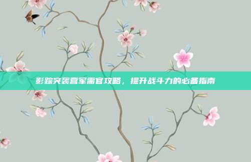 影踪突袭营军需官攻略,提升战斗力的必备指南-第1张图片-速奇网 影踪突袭营军需官攻略,提升战斗力的必备指南-第1张图片-速奇网