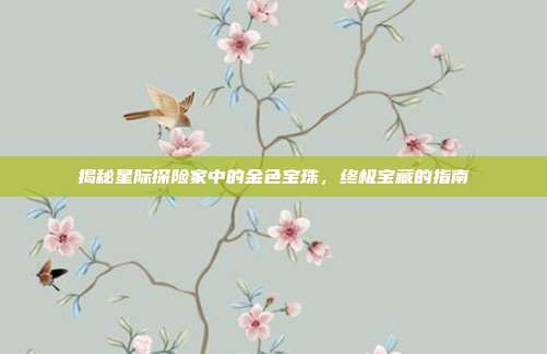 揭秘星际探险家中的金色宝珠，终极宝藏的指南-第1张图片-速奇网