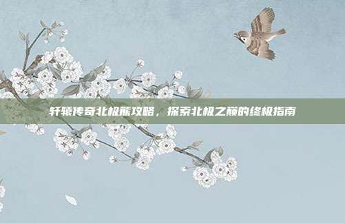 轩辕传奇北极熊攻略,探索北极之巅的终极指南-第1张图片-速奇网 轩辕传奇北极熊攻略,探索北极之巅的终极指南-第1张图片-速奇网