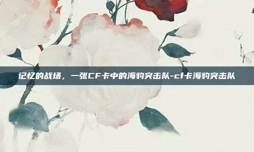 记忆的战场，一张CF卡中的海豹突击队-cf卡海豹突击队-第1张图片-速奇网