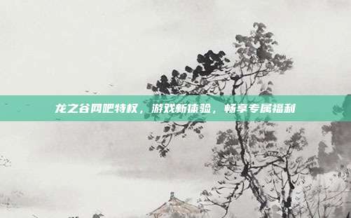 龙之谷网吧特权，游戏新体验，畅享专属福利-第1张图片-速奇网
