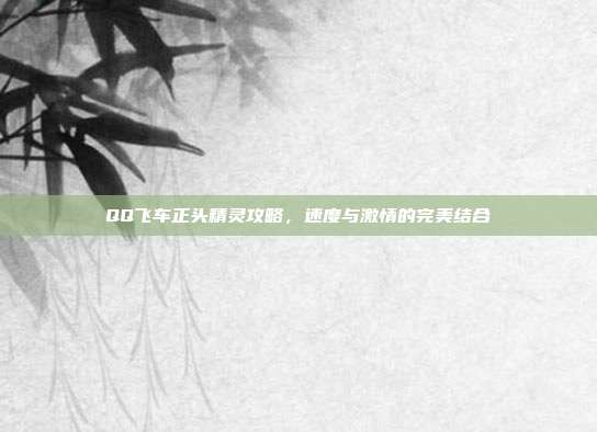 QQ飞车正头精灵攻略,速度与激情的完美结合-第1张图片-速奇网 QQ飞车正头精灵攻略,速度与激情的完美结合-第1张图片-速奇网