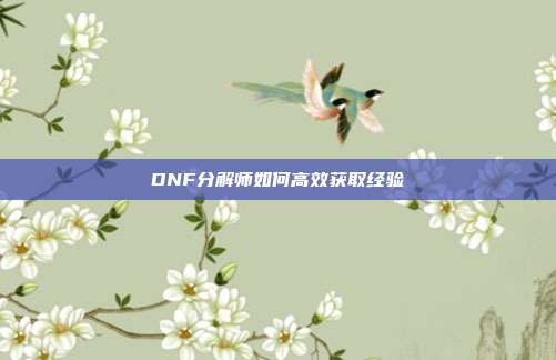 DNF分解师如何高效获取经验-第1张图片-速奇网 DNF分解师如何高效获取经验-第1张图片-速奇网