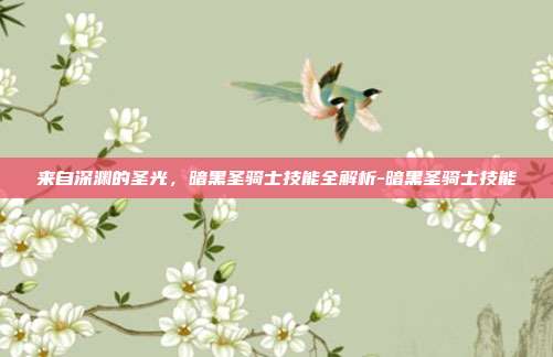来自深渊的圣光，暗黑圣骑士技能全解析-暗黑圣骑士技能-第1张图片-速奇网