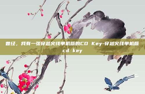 曾经，我有一张穿越火线单机版的CD Key-穿越火线单机版cd key-第1张图片-速奇网