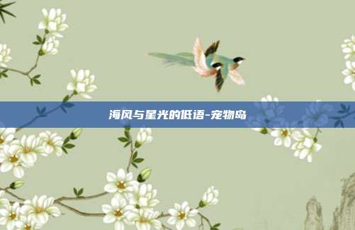 海风与星光的低语-宠物岛-第1张图片-速奇网