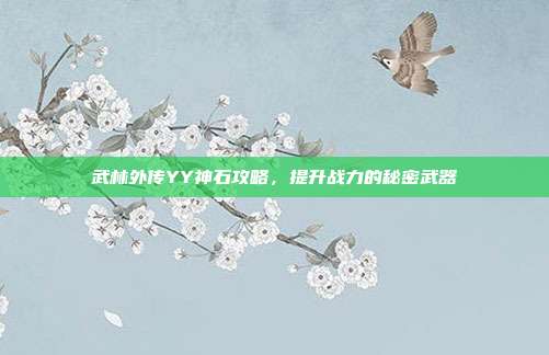 武林外传YY神石攻略,提升战力的秘密武器-第1张图片-速奇网 武林外传YY神石攻略,提升战力的秘密武器-第1张图片-速奇网