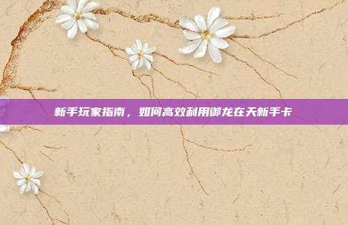 新手玩家指南,如何高效利用御龙在天新手卡-第1张图片-速奇网 新手玩家指南,如何高效利用御龙在天新手卡-第1张图片-速奇网