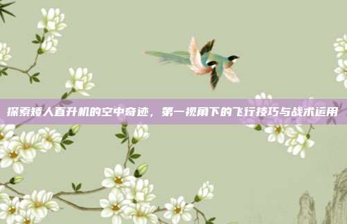 探索矮人直升机的空中奇迹,第一视角下的飞行技巧与战术运用-第1张图片-速奇网 探索矮人直升机的空中奇迹,第一视角下的飞行技巧与战术运用-第1张图片-速奇网