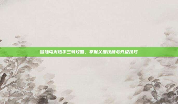 冒险岛火炮手三转攻略，掌握关键技能与升级技巧-第1张图片-速奇网