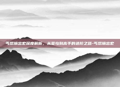 丐帮输出宏深度解析，从菜鸟到高手的进阶之路-丐帮输出宏-第1张图片-速奇网