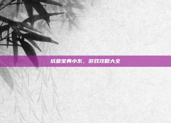 坑爹宝典小东，游戏攻略大全-第1张图片-速奇网