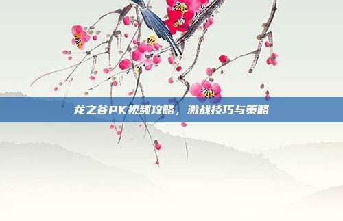 龙之谷PK视频攻略，激战技巧与策略-第1张图片-速奇网