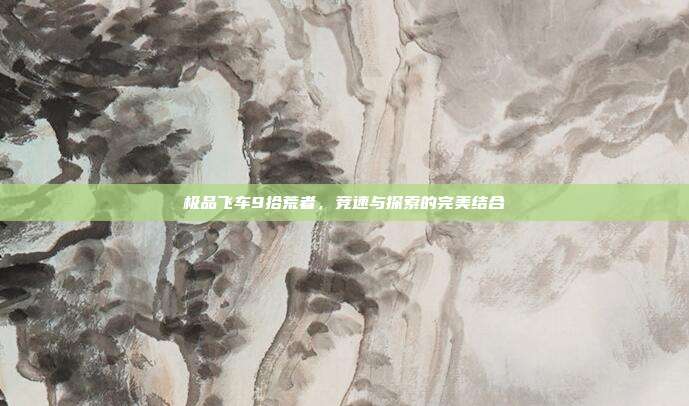 极品飞车9拾荒者,竞速与探索的完美结合-第1张图片-速奇网 极品飞车9拾荒者,竞速与探索的完美结合-第1张图片-速奇网