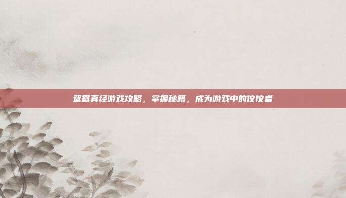鸳鸯真经游戏攻略,掌握秘籍,成为游戏中的佼佼者-第1张图片-速奇网 鸳鸯真经游戏攻略,掌握秘籍,成为游戏中的佼佼者-第1张图片-速奇网