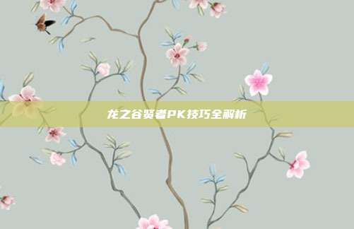 龙之谷贤者PK技巧全解析-第1张图片-速奇网