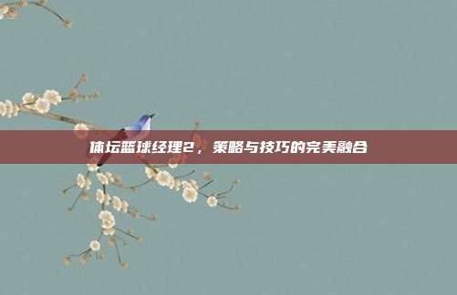 体坛篮球经理2，策略与技巧的完美融合-第1张图片-速奇网