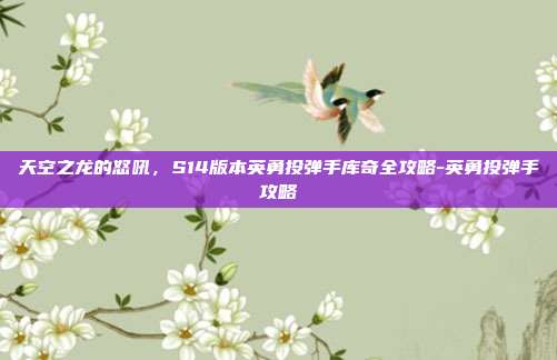 天空之龙的怒吼，S14版本英勇投弹手库奇全攻略-英勇投弹手攻略-第1张图片-速奇网