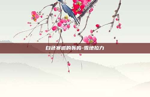 白色赛道的轰鸣-雪地拉力-第1张图片-速奇网 白色赛道的轰鸣-雪地拉力-第1张图片-速奇网