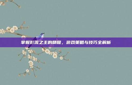 掌握影流之主的精髓,游戏策略与技巧全解析-第1张图片-速奇网 掌握影流之主的精髓,游戏策略与技巧全解析-第1张图片-速奇网