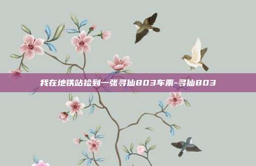 我在地铁站捡到一张寻仙803车票-寻仙803-第1张图片-速奇网